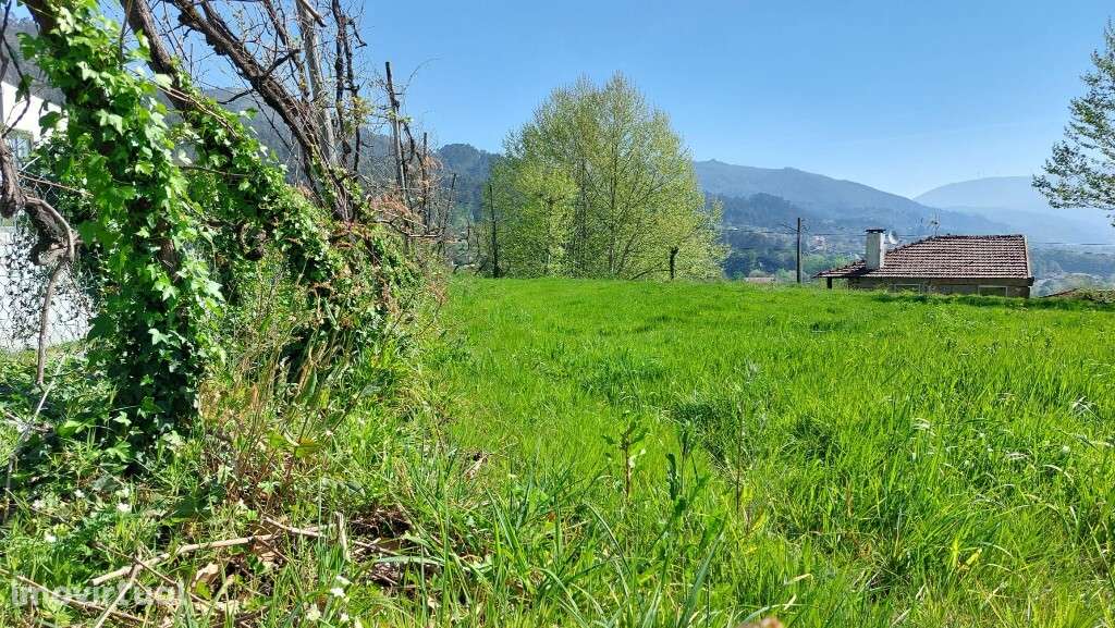 Terreno c/ viabilidade construtiva - Eira Vedra - Grande imagem: 5/12