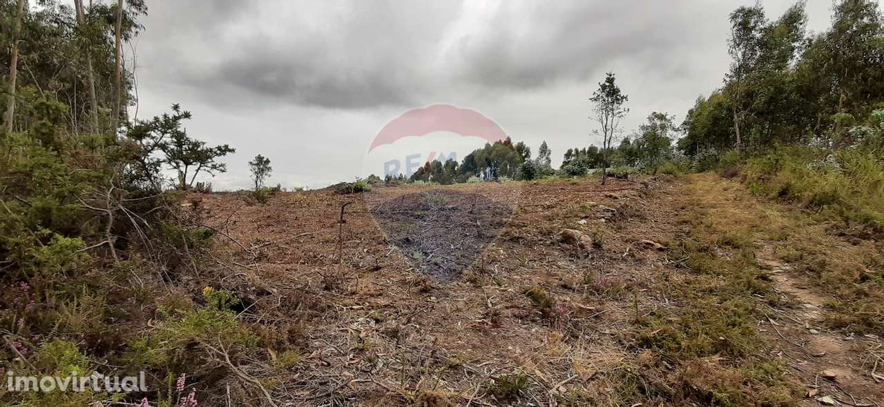 Terreno  para venda - Grande imagem: 2/6