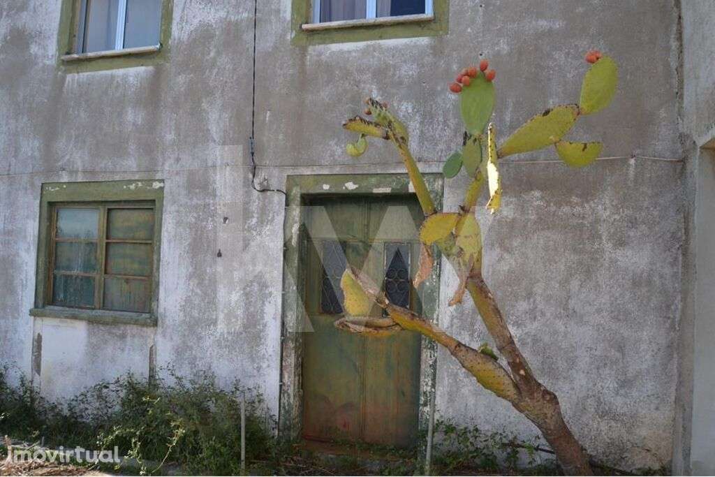 Herdade com cerca de 50ha em zona de Regadio do Ladoeiro Idanha a Nova - Grande imagem: 5/60