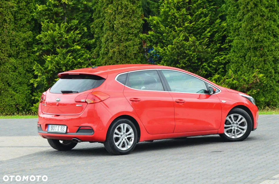 Kia Ceed 1.6 CRDi 128 Fifa World Cup Edition - 19