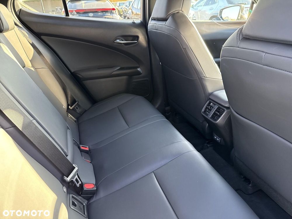 Lexus UX 250h GPF F Sport Design 2WD - 16