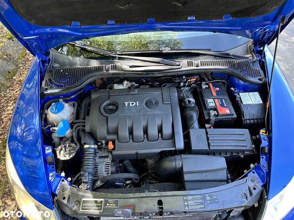 Skoda Octavia 1.9 TDI 4x4 - 17