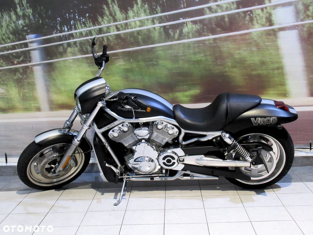 Harley-Davidson Softail V-Rod - 5