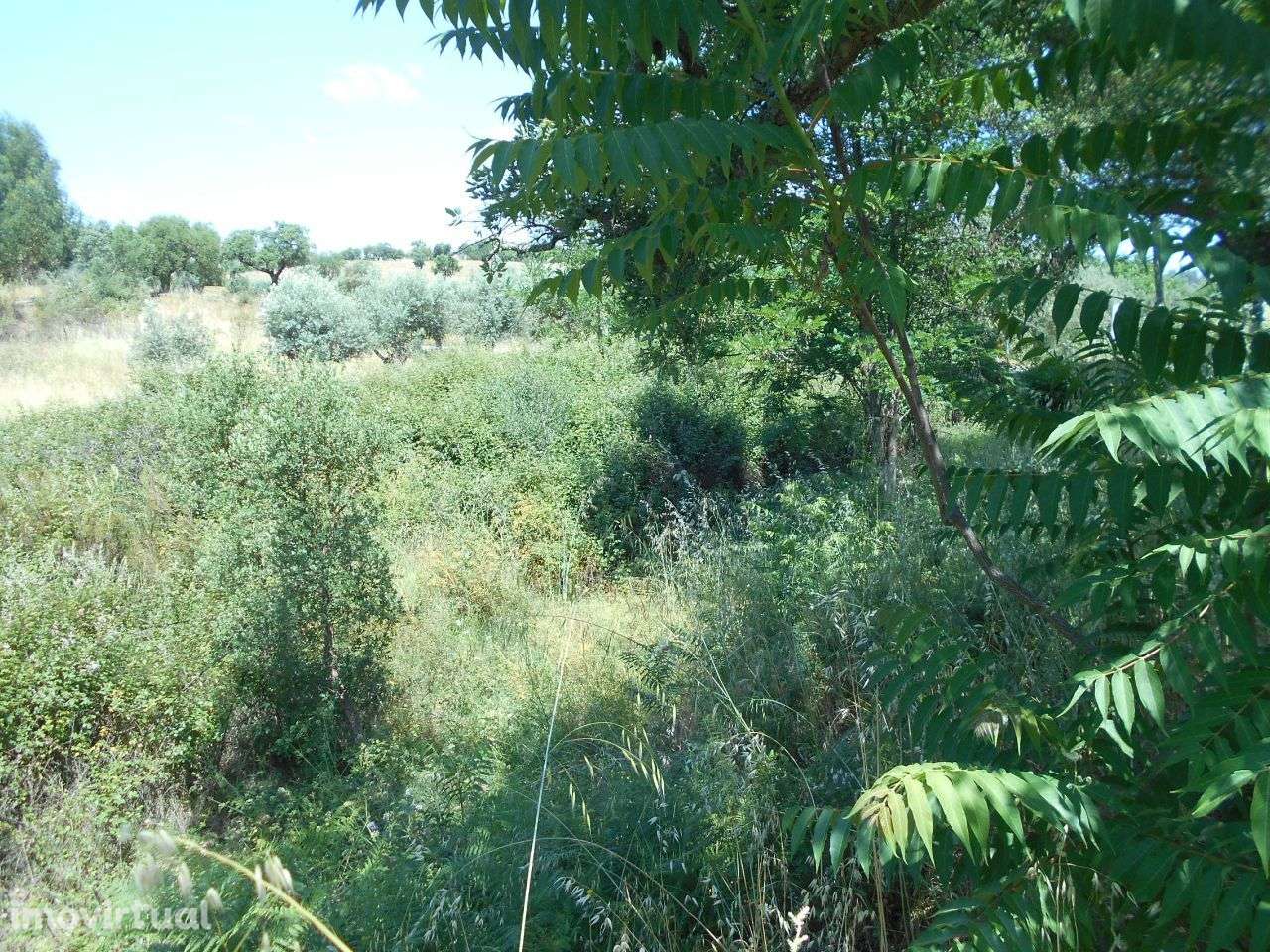 Terreno - Grande imagem: 4/4