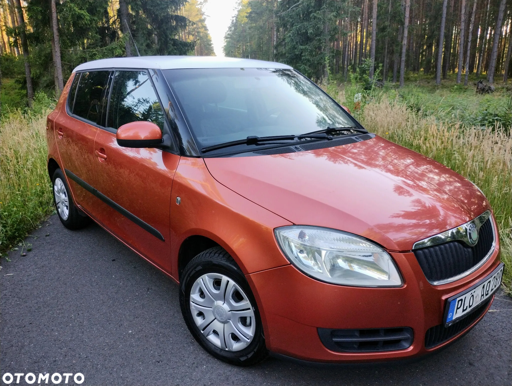 Skoda Fabia - 10