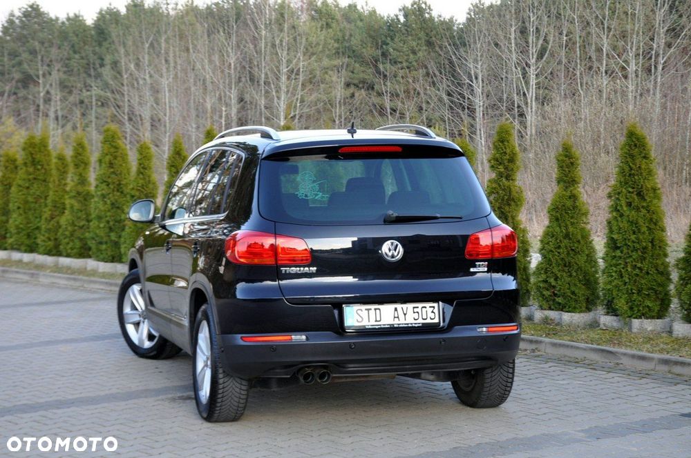 Volkswagen Tiguan - 15