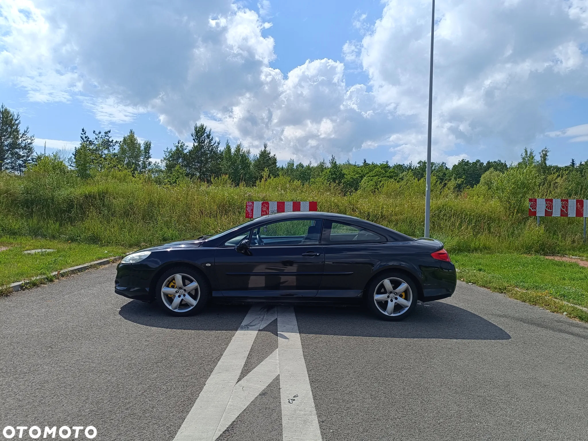 Peugeot 407 - 3