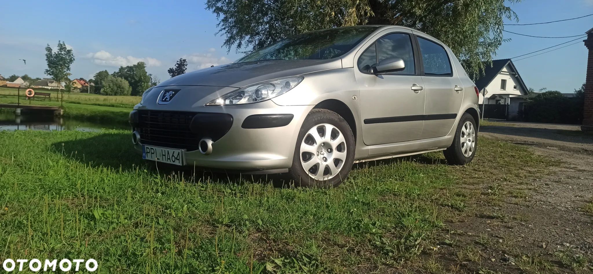 Peugeot 307 - 1