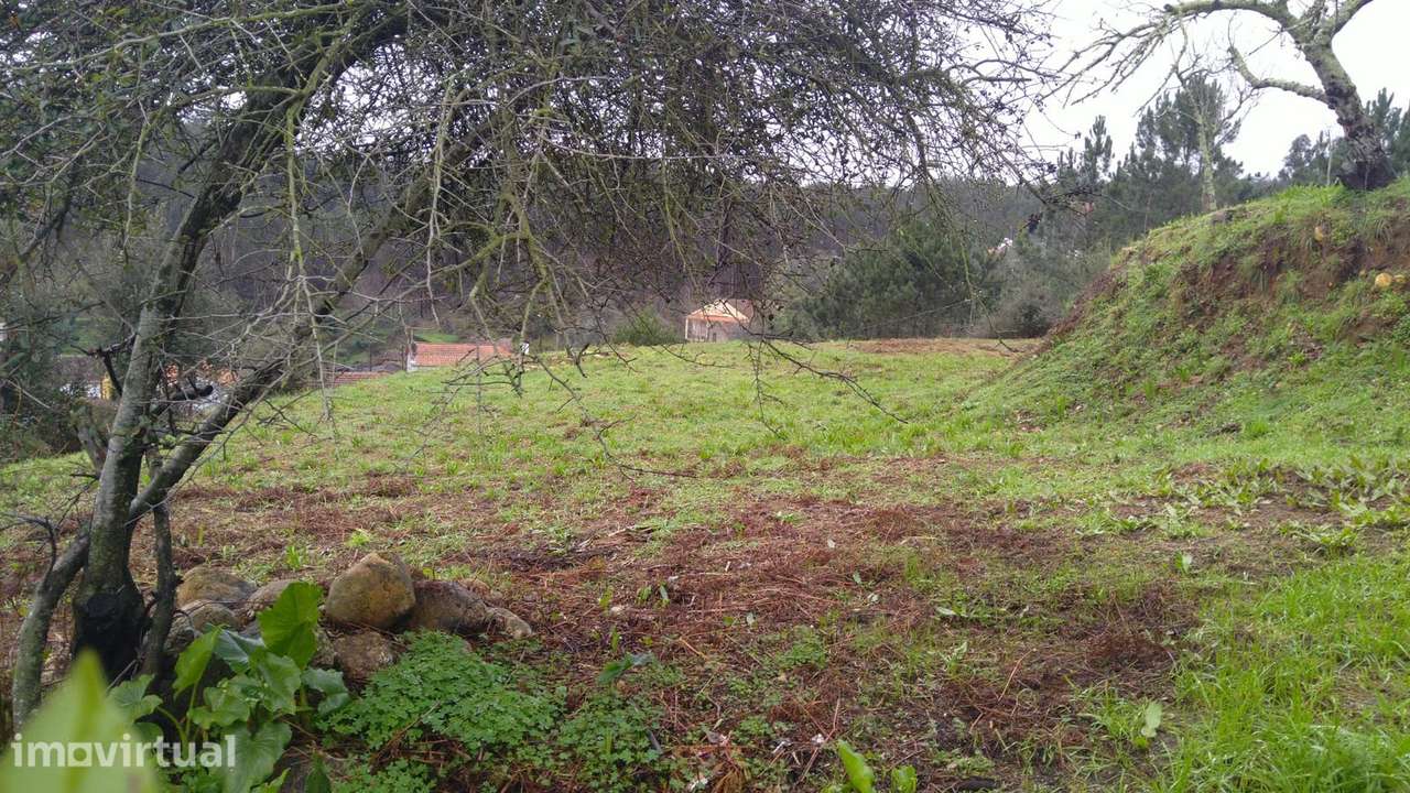 Soberbo, Terreno Urbano de 1850m² em Macinhata do Vouga - Grande imagem: 3/34
