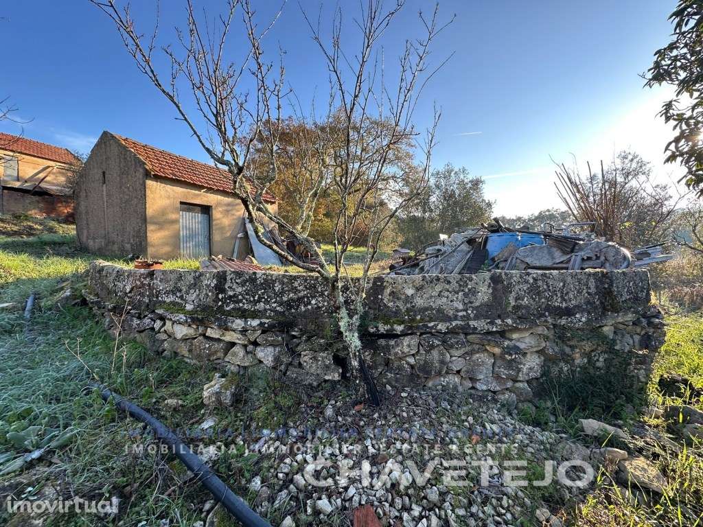 Casa de campo com anexos em zona tranquila a 10 km de Tomar. - Grande imagem: 4/22