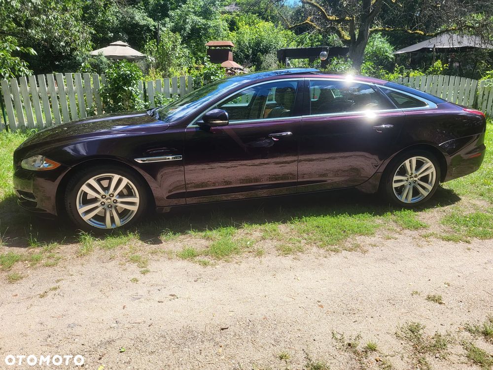 Jaguar XJ 5.0 V8 Premium Luxury - 3