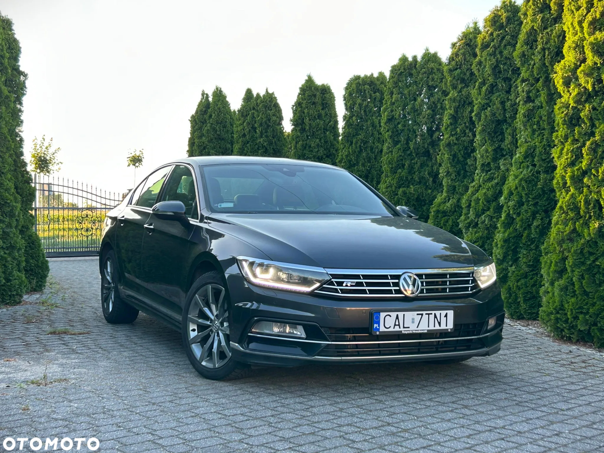Volkswagen Passat - 39