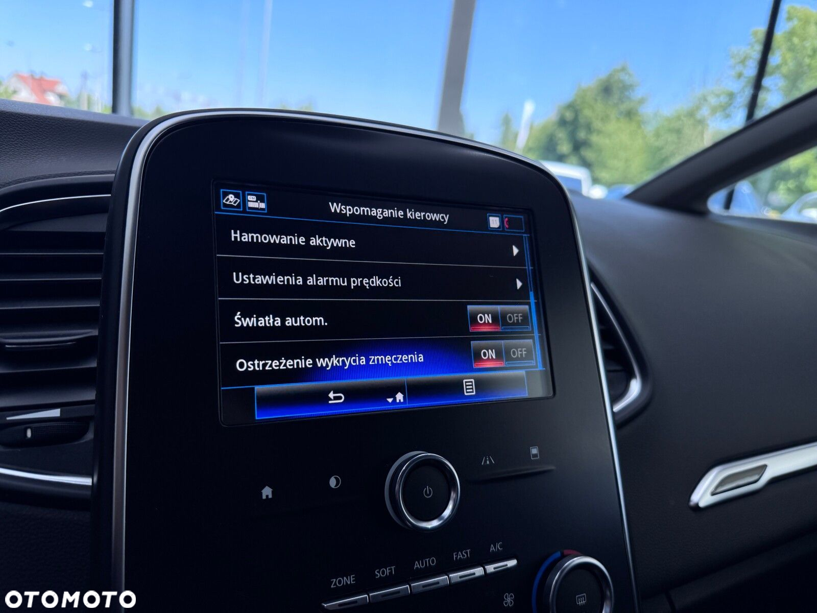 Renault Grand Scenic - 35
