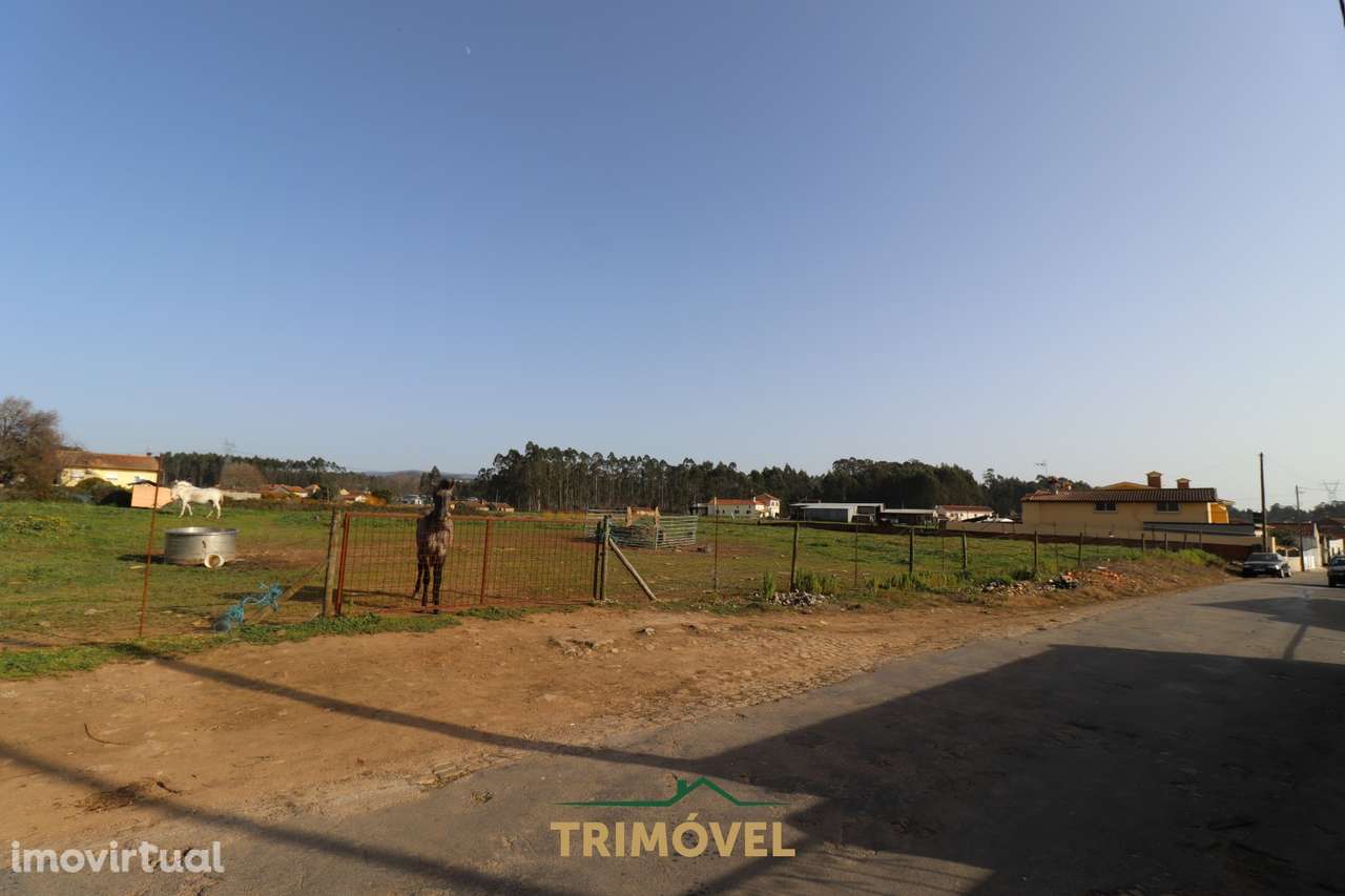Terreno para construção - Loureiro - Grande imagem: 2/10
