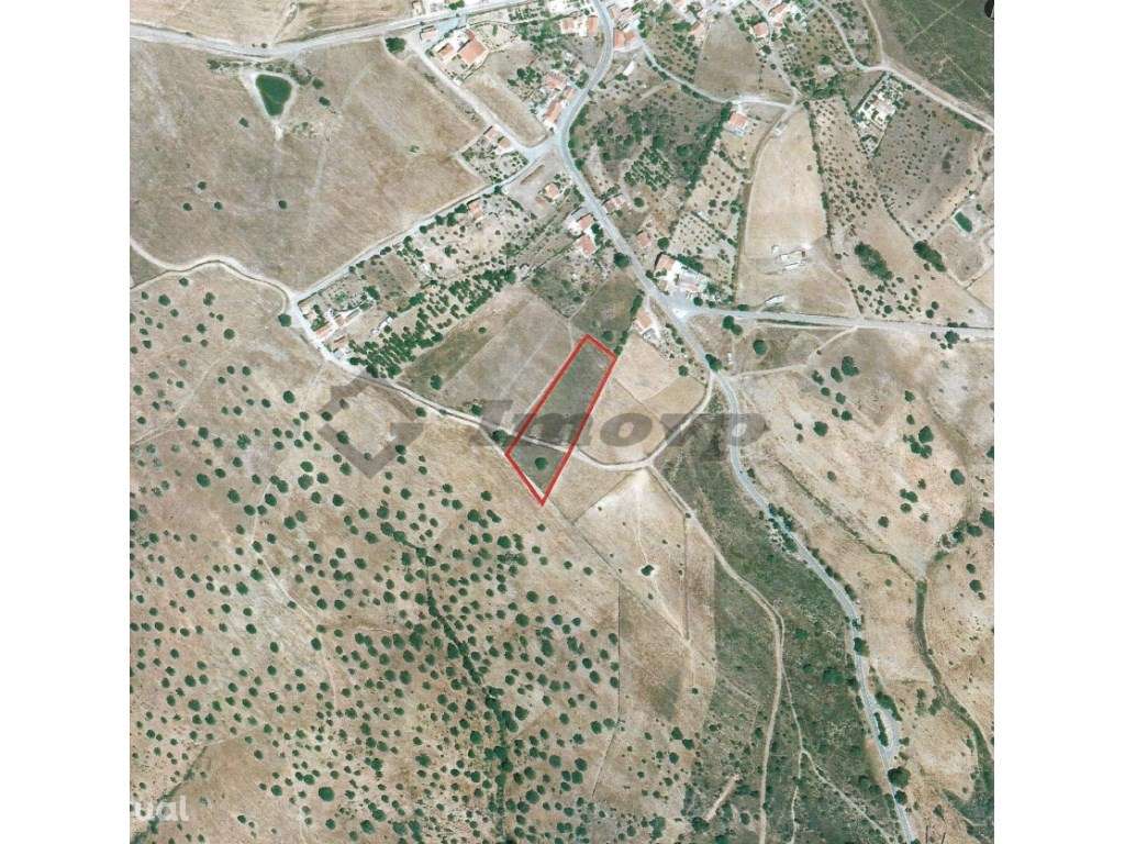 Terreno rústico de 0,775Ha localizado na Dogueno - Almodôvar - Grande imagem: 3/10