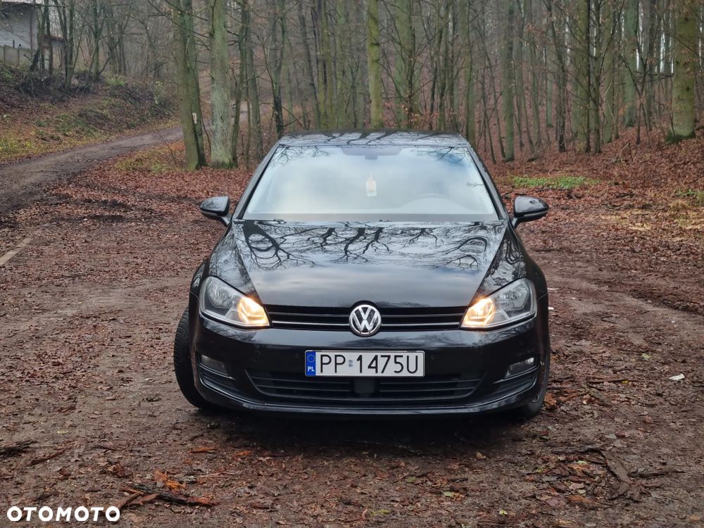 Volkswagen Golf 1.6 TDI BlueMotion Technology Allstar - 2