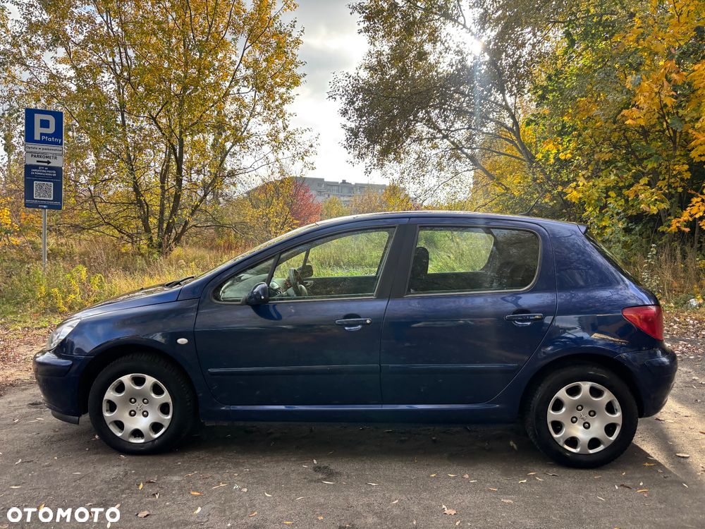 Peugeot 307 - 7