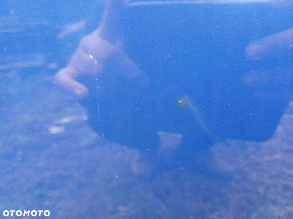 DRZWI KOMPLETNE PRAWY PRZÓD TOYOTA COROLLA E12 8Q4 - 3