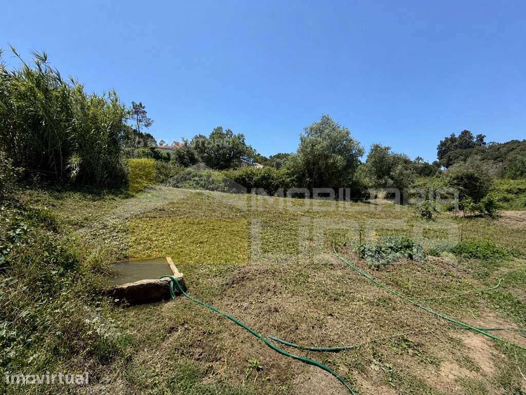 Terreno Rústico com 16.760 m2 em Lousa, Loures. - Grande imagem: 4/18