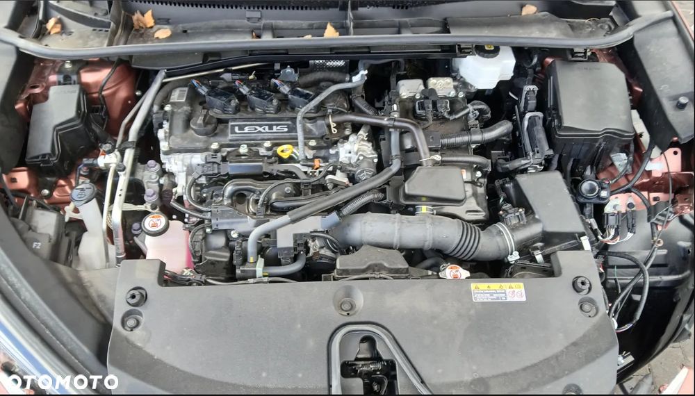 Lexus LBX 1.5 Hybrid Emotion AWD - 5