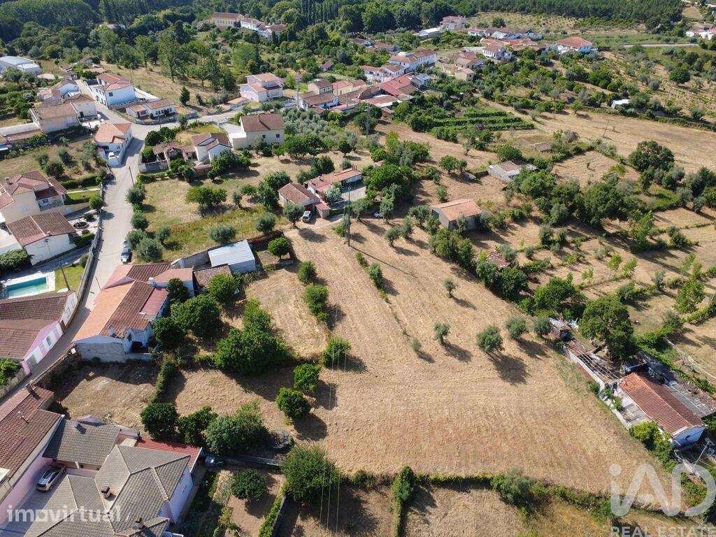 Terreno para construção em Poiares - Grande imagem: 5/40