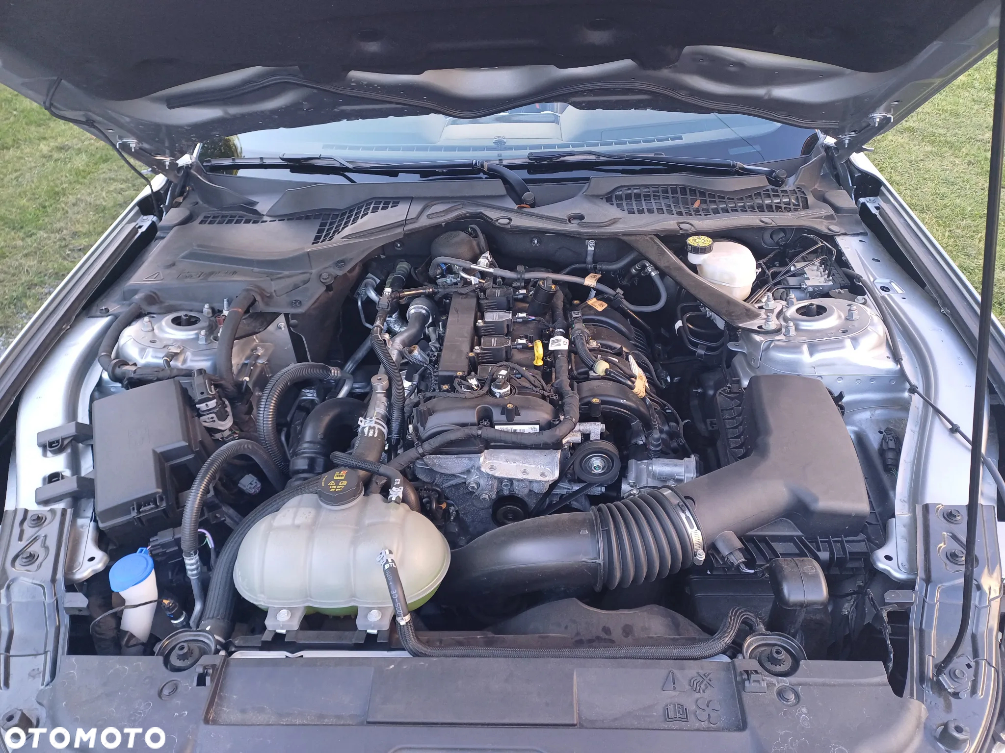 Ford Mustang Cabrio 2.3 Eco Boost - 13