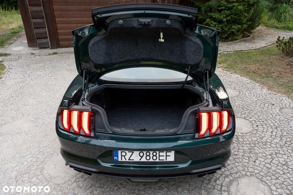 Ford Mustang - 20