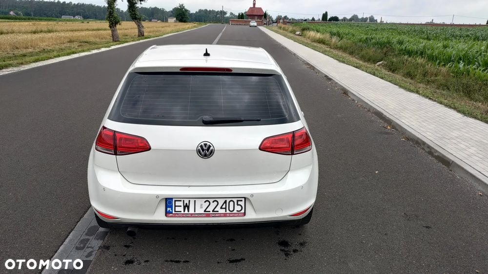 Volkswagen Golf 1.6 TDI BlueMotion Technology Cup - 15
