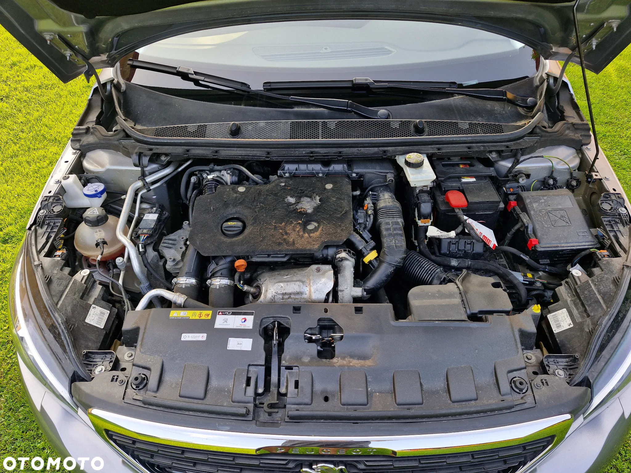 Peugeot 308 1.5 BlueHDi Business Line S&S - 19