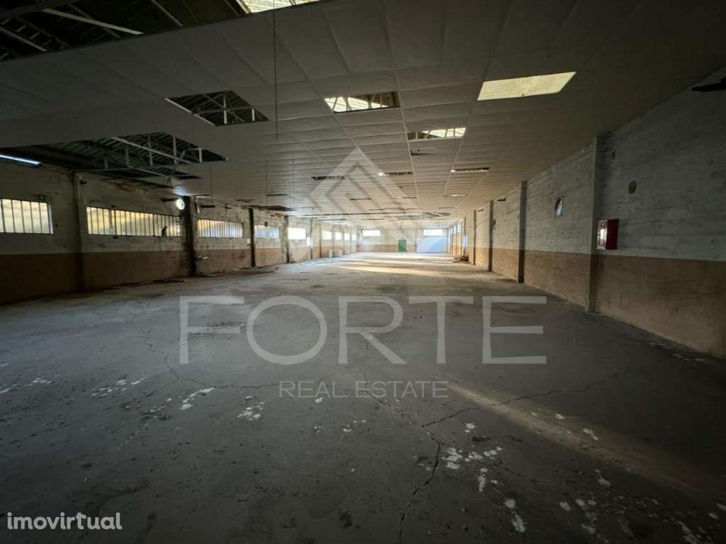 Armazém em São Martinho da Gândara - Grande imagem: 4/20