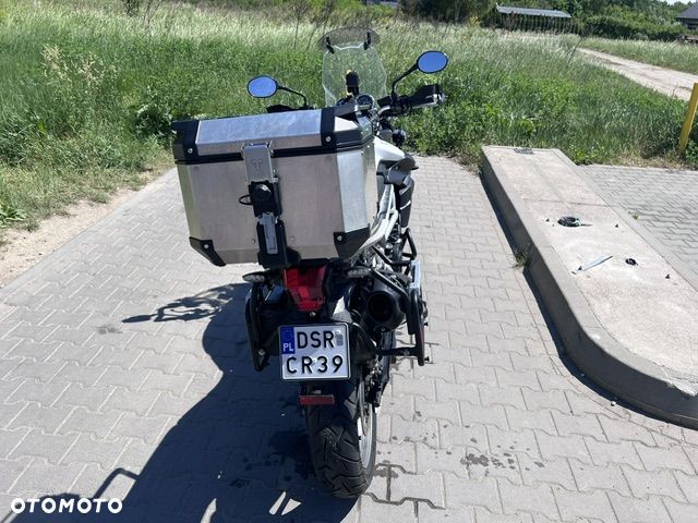 Triumph Tiger - 5