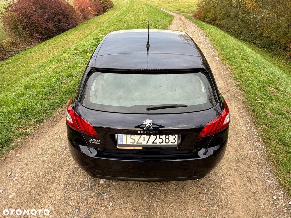 Peugeot 308 - 17