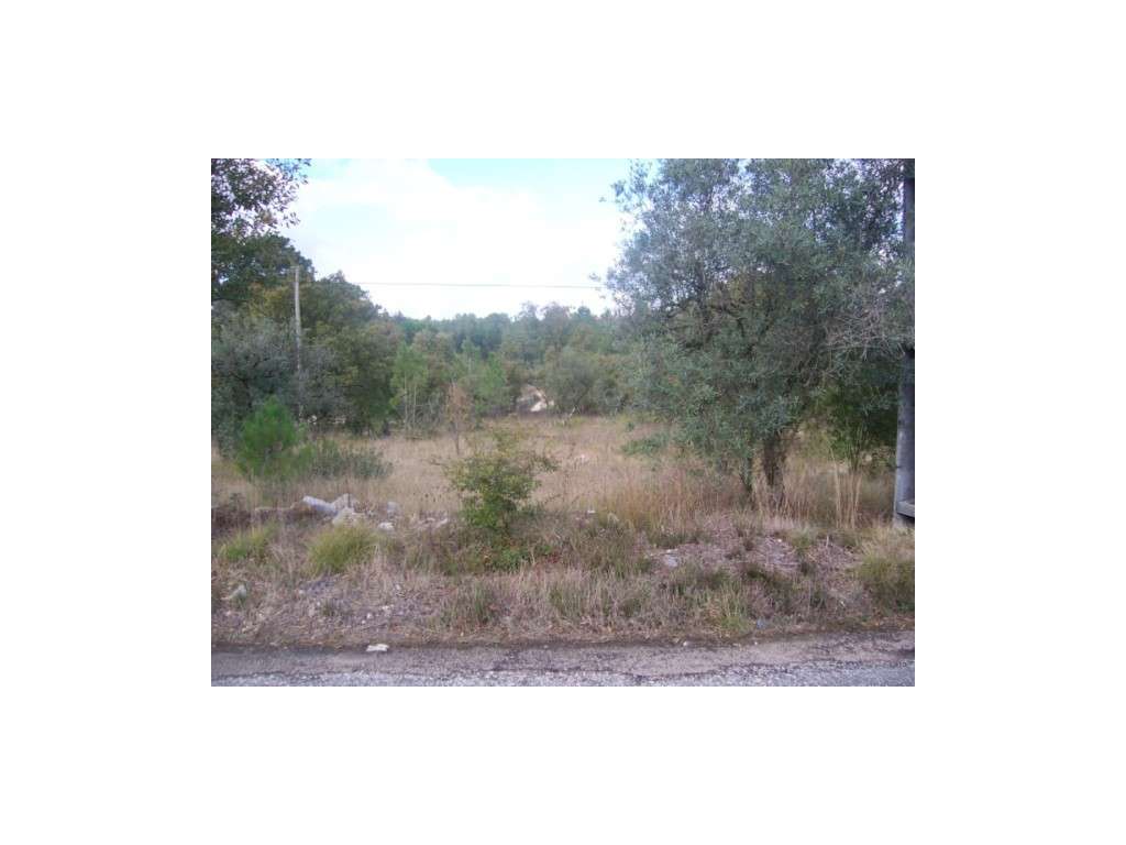 Terreno para construção Azoio -Pedreiras - Grande imagem: 3/5