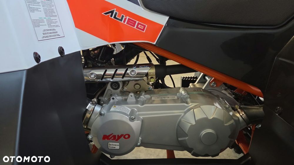 KAYO AU - 17