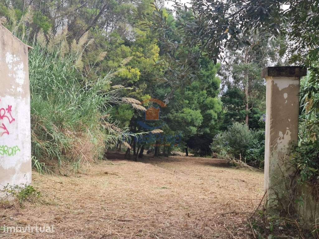 Azenha em Terreno Rústico 4.000m2 | Casais Brancos, Alenquer - Grande imagem: 2/6