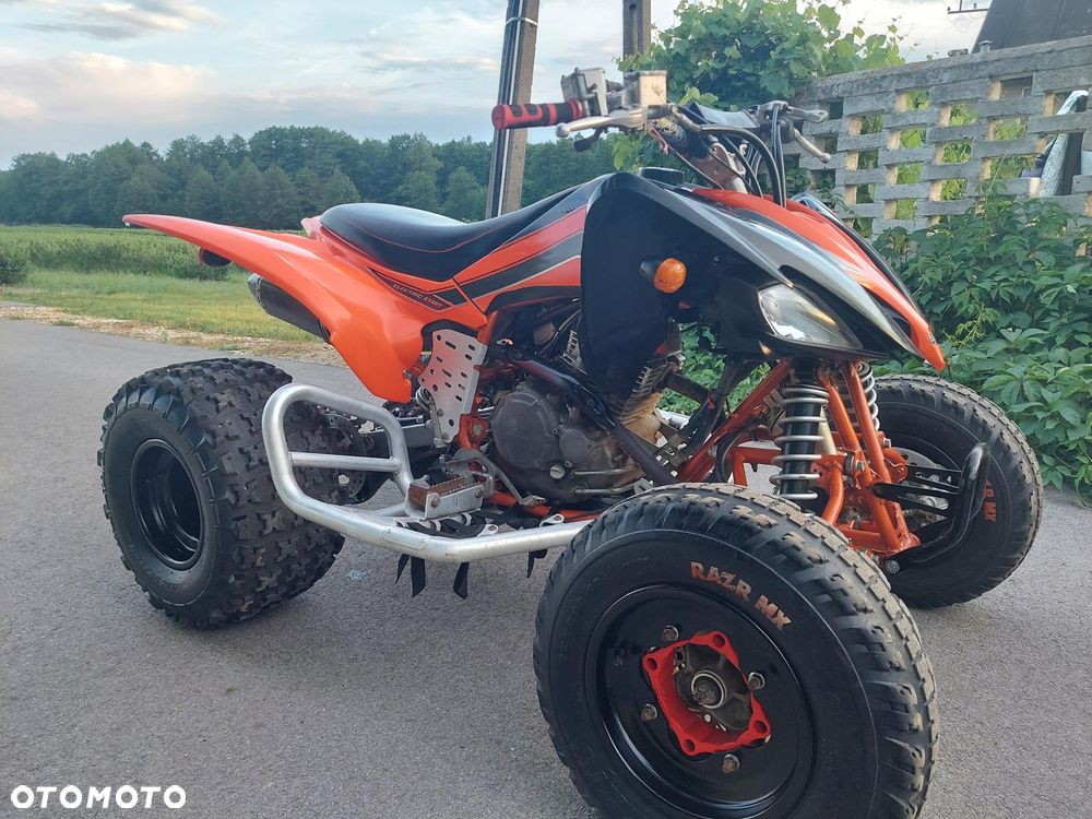 Yamaha Raptor - 13