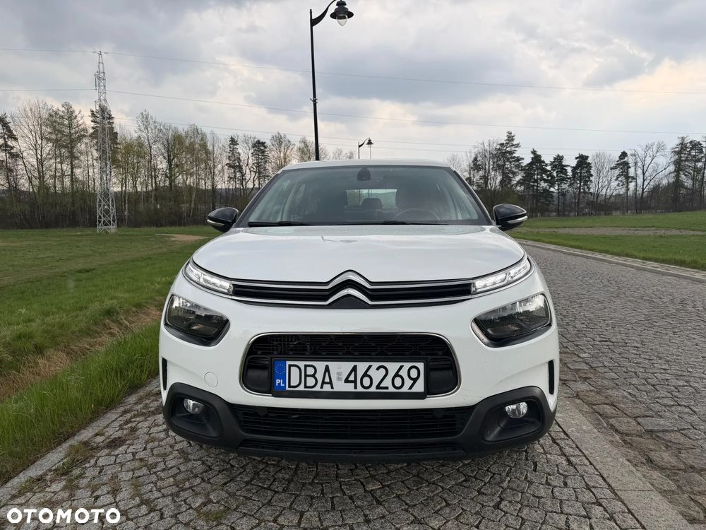 Citroën C4 Cactus 1.2 PureTech GPF Shine S&S EAT6 - 10