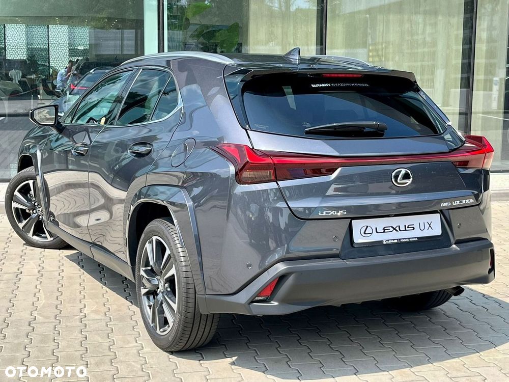 Lexus UX 300h Omotenashi AWD - 12