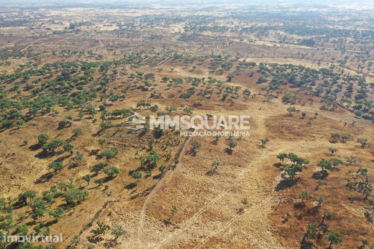 Monte do Chaparral — Ourique - Grande imagem: 5/36