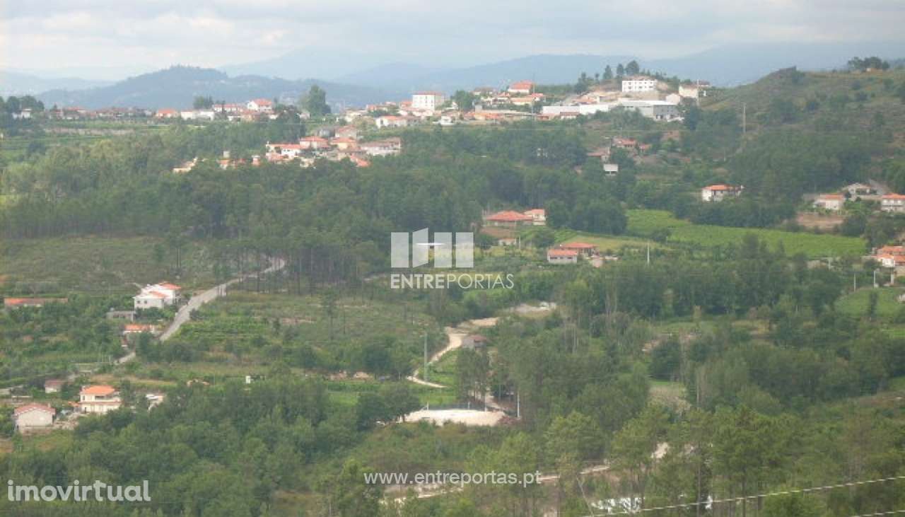 Venda Terreno, Avessadas, Marco de Canaveses - Grande imagem: 5/16