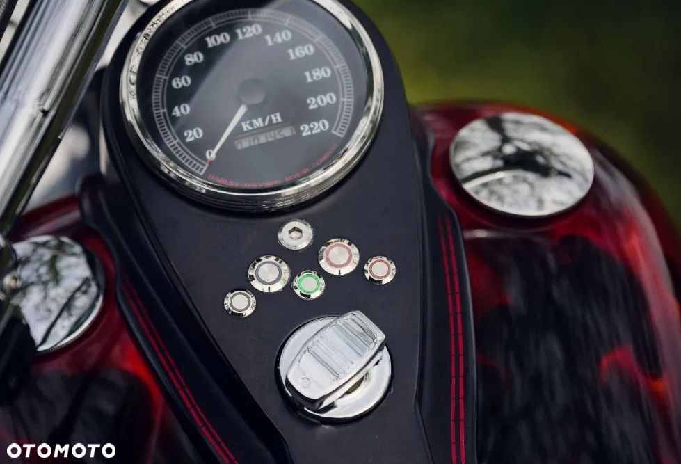 Harley-Davidson Softail Custom - 12