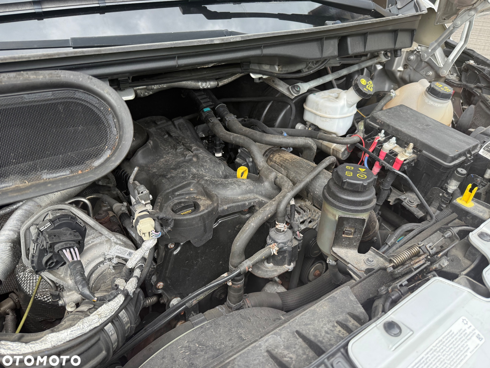 Ford Transit - 36