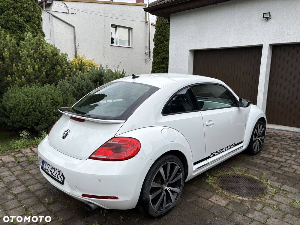 Volkswagen Beetle - 5