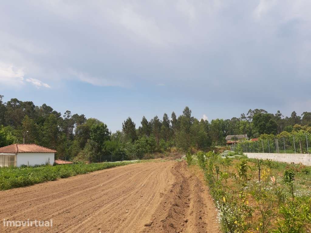 Terreno Agrícola / Ecológico - Rendufe - Grande imagem: 2/13