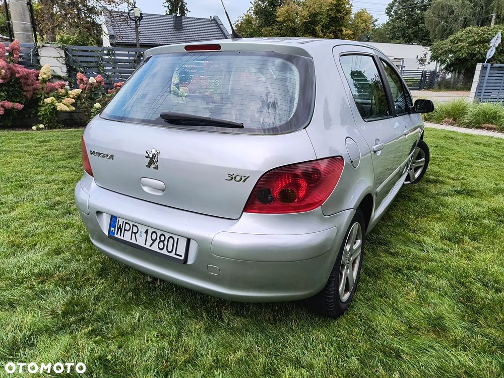 Peugeot 307 1.6 Premium Class - 10