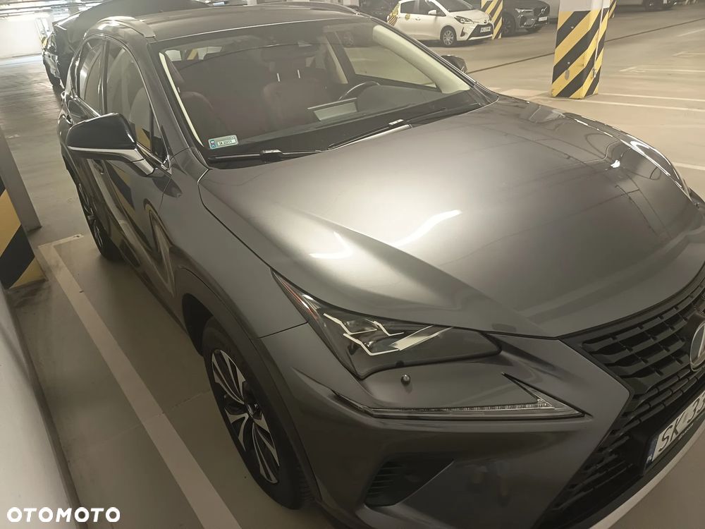 Lexus NX 300h F Impression AWD - 10
