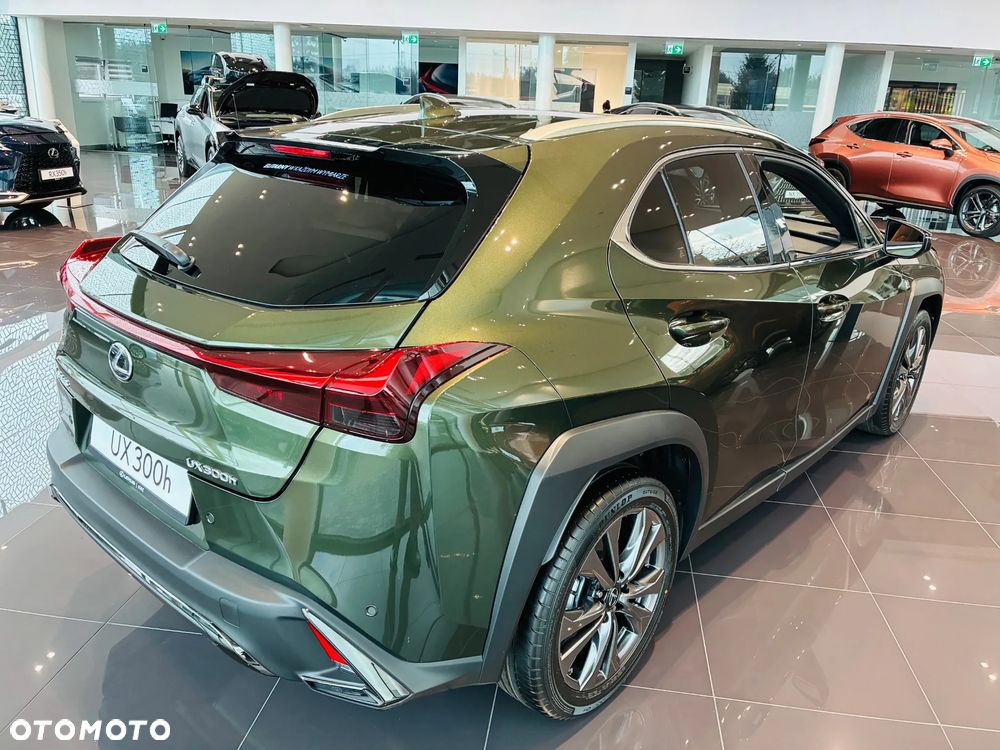 Lexus UX 300h F Sport Design - 6