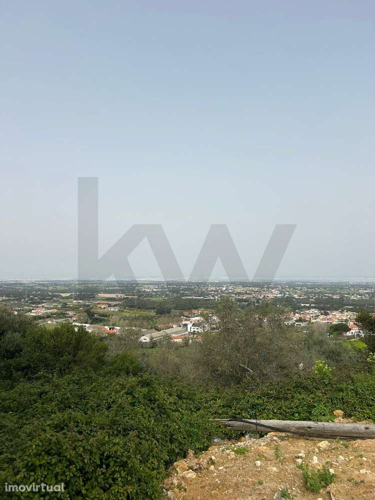 Terreno Urbano para Construção – Loteamento Exclusivo em Palmela - Grande imagem: 4/9