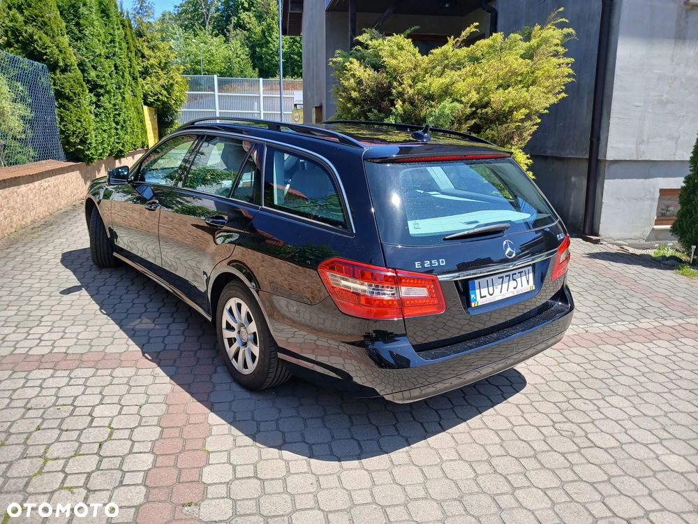 Mercedes-Benz Klasa E 250 CDI Classic - 14