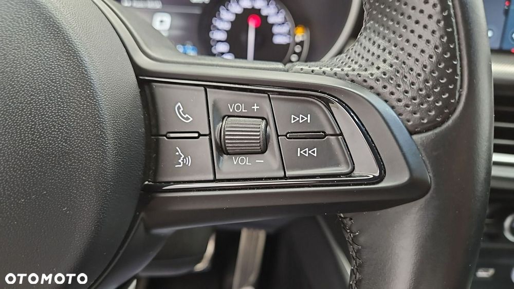 Alfa Romeo Stelvio 2.0 Turbo Veloce Q4 - 15